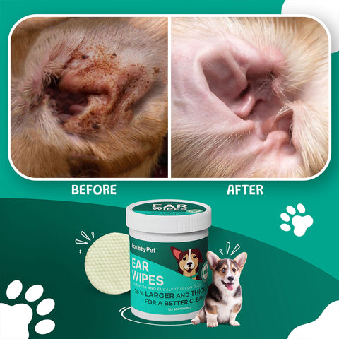 Dog Ear Wipes Pet